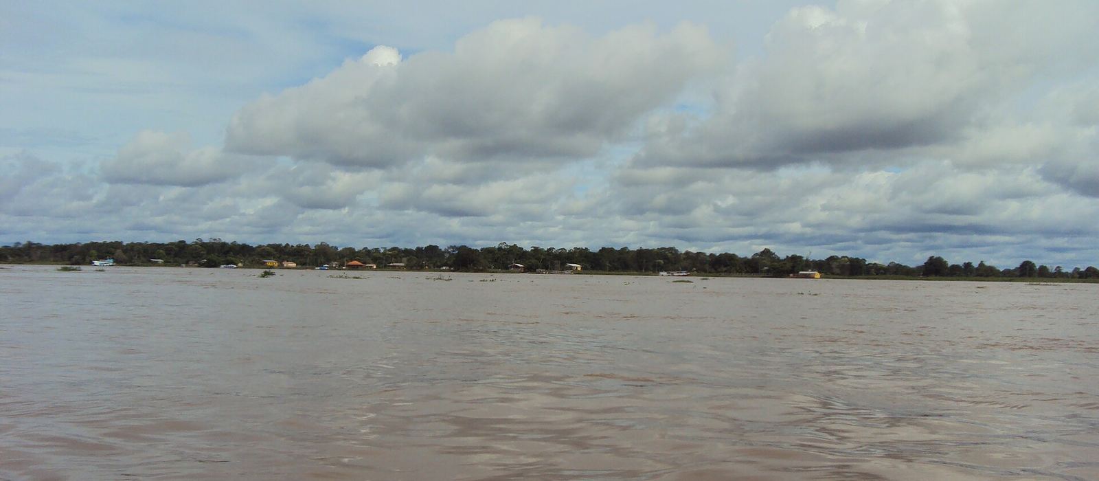 Paisagem de Careiro