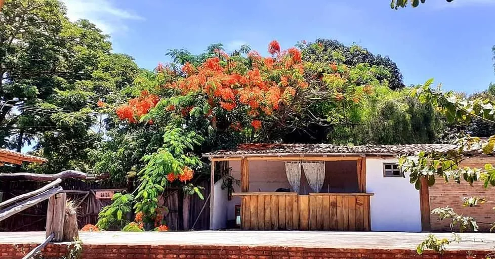 Bar do Forró, na vila de Itaúnas