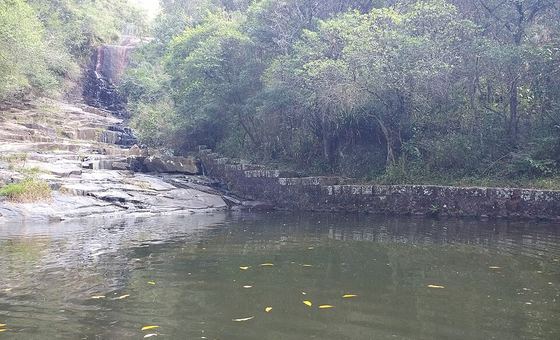 Trecho do Caminho da Costa da Lagoa, em Florianópolis, entre a mata e a margem da lagoa