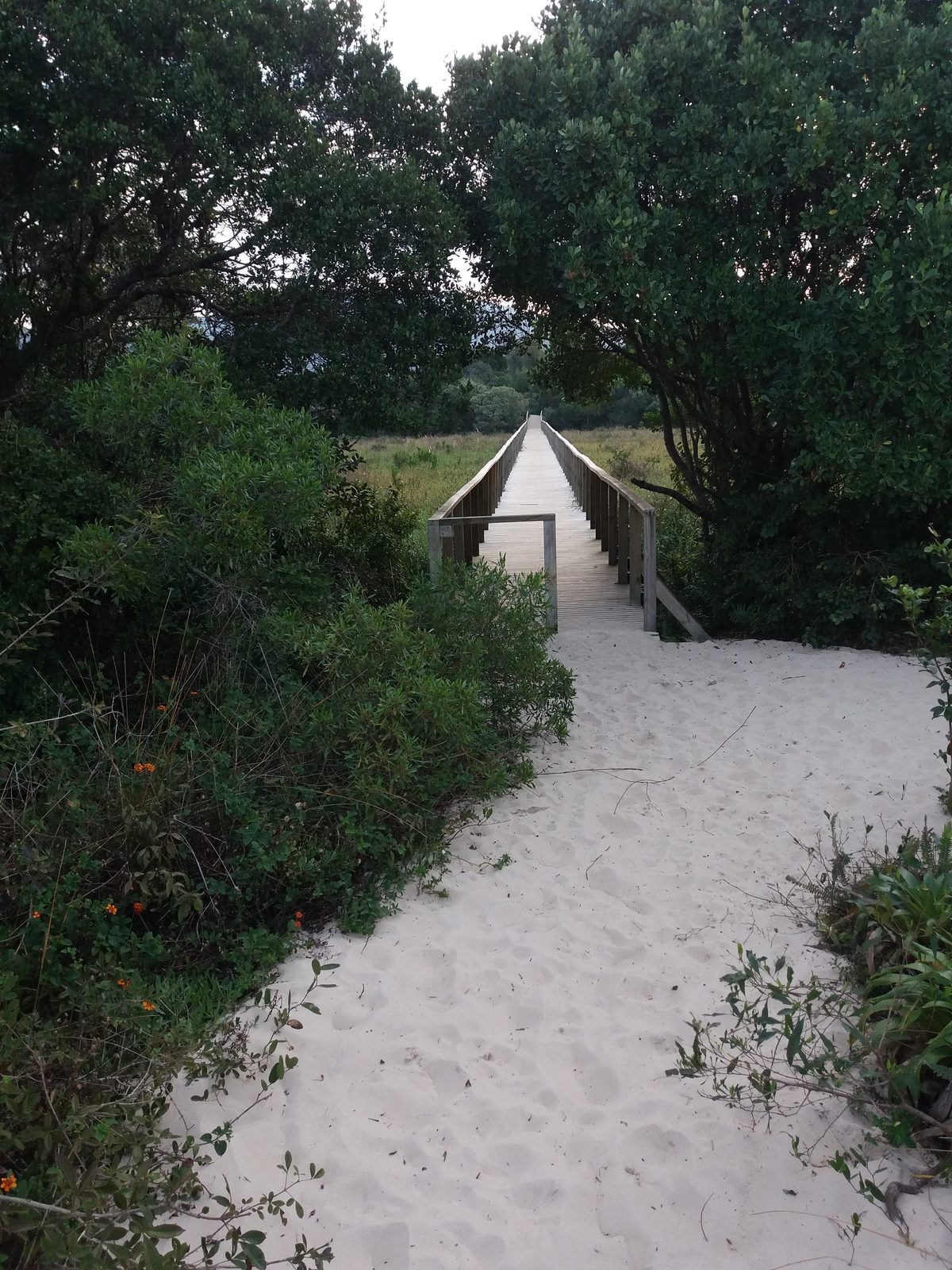 Ponte de madeira da Trilha Ecológica do Rio Vermelho, em Florianópolis, no caminho para a praia do Moçambique