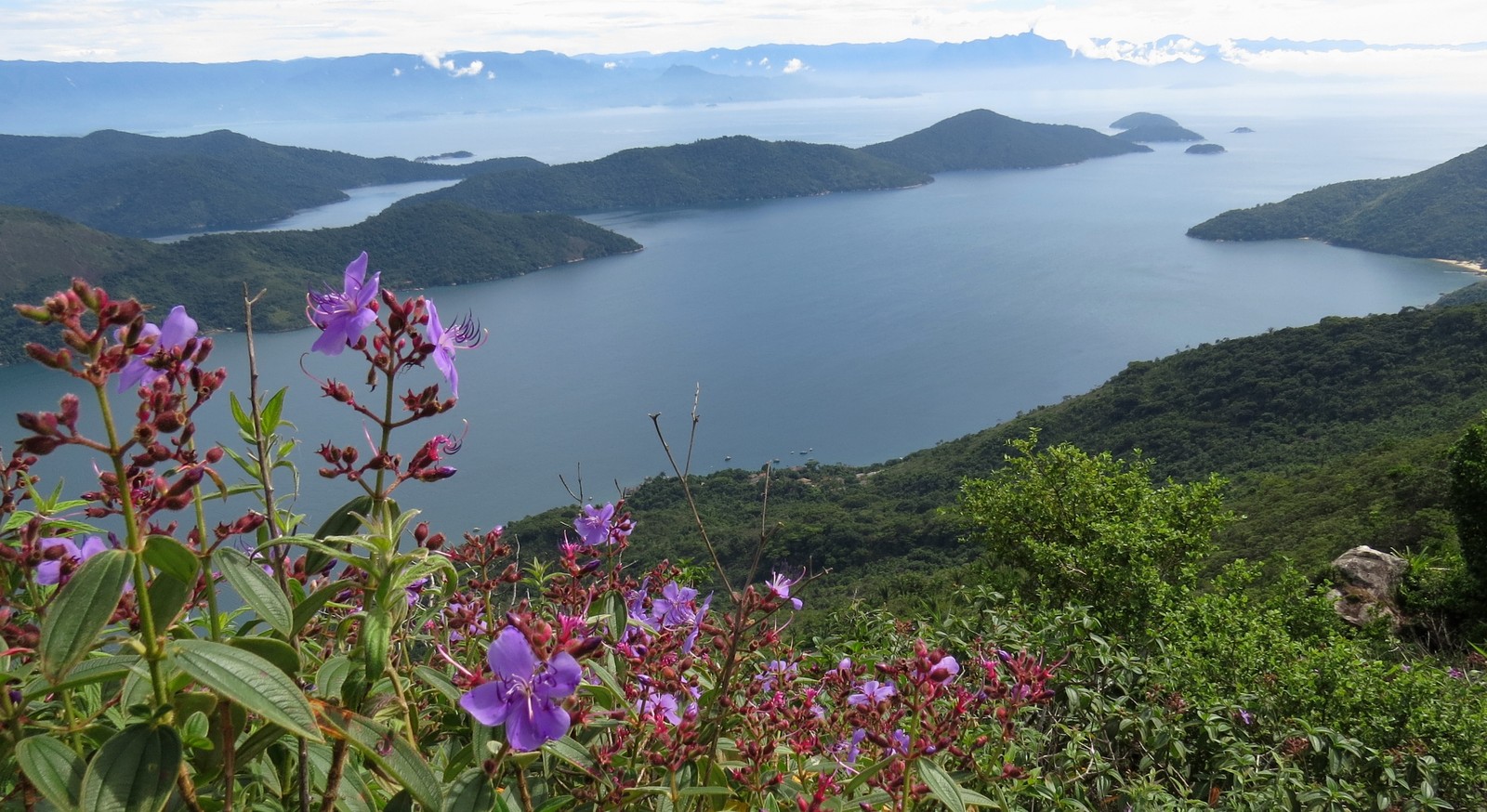 Paisagem de Paraty