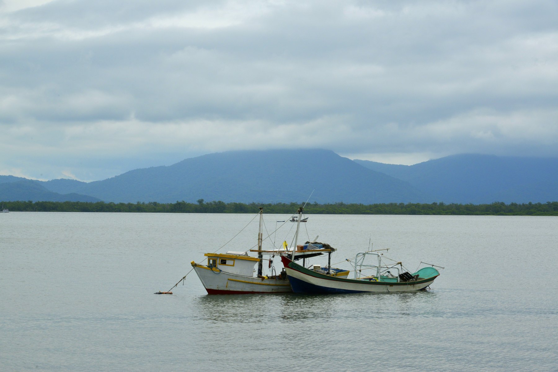 Área de Proteção Ambiental Estadual de Guaratuba