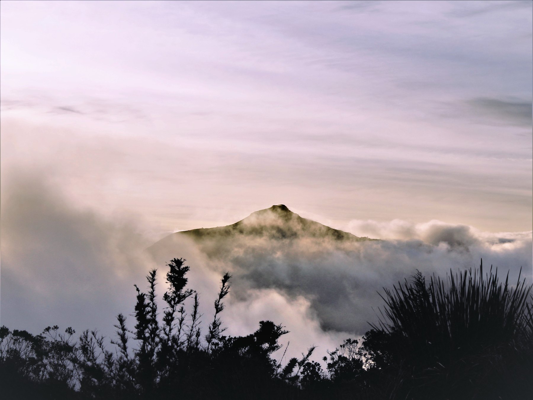 Área de Proteção Ambiental Serra da Mantiqueira