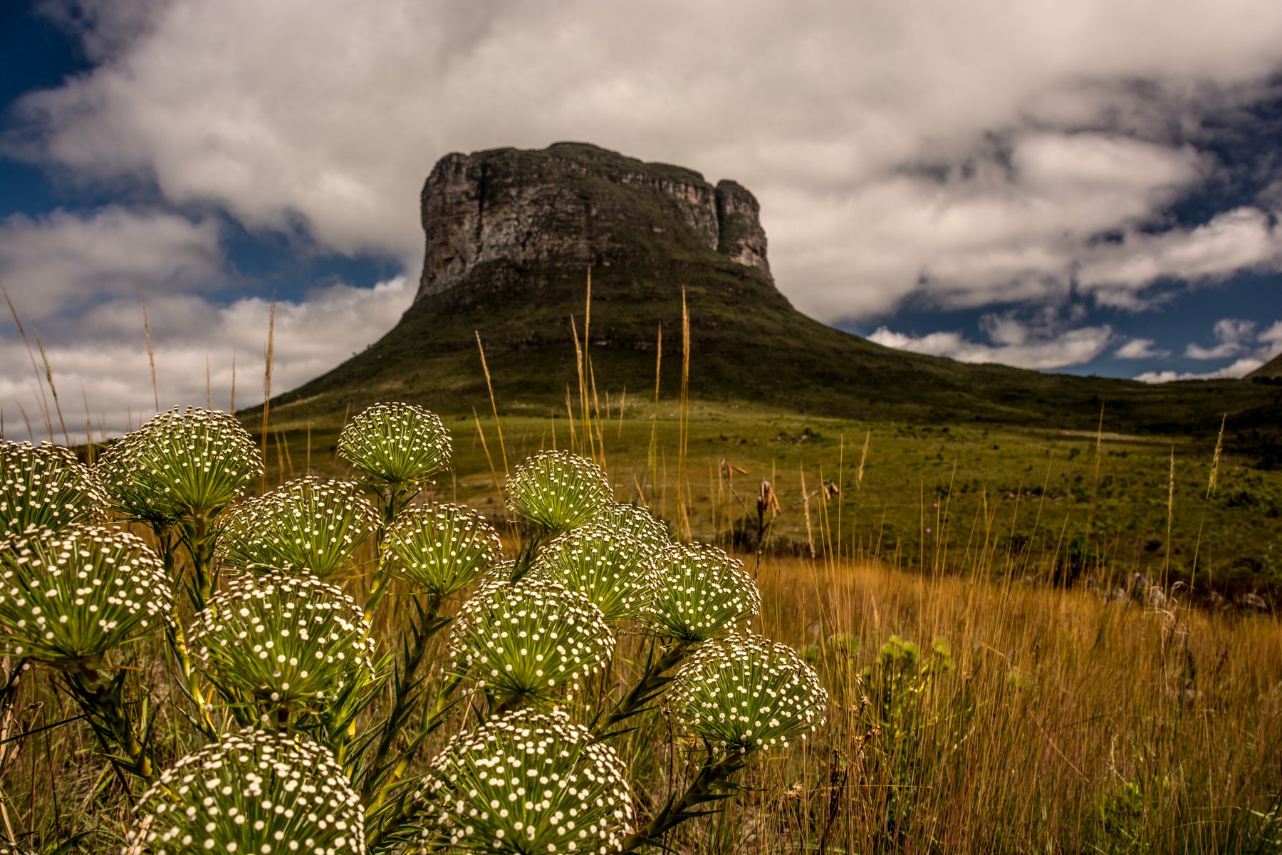 Parque Nacional da Chapada Diamantina