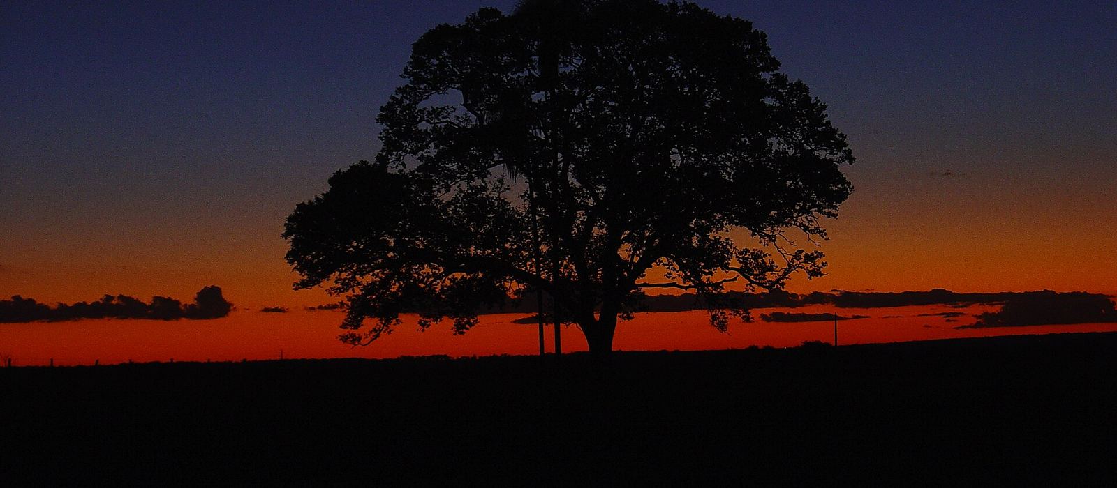 Paisagem de Guia Lopes da Laguna