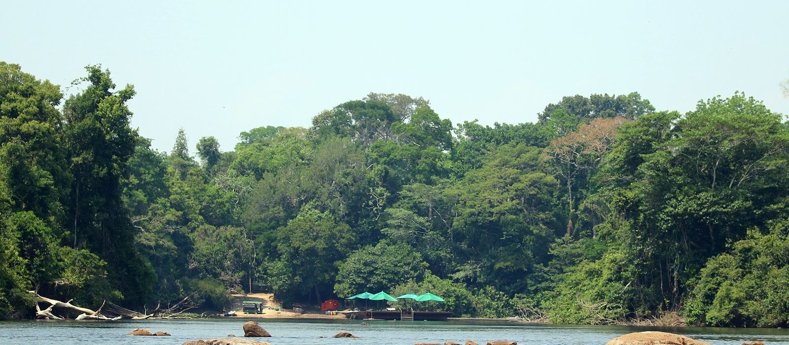 Paisagem de Alta Floresta