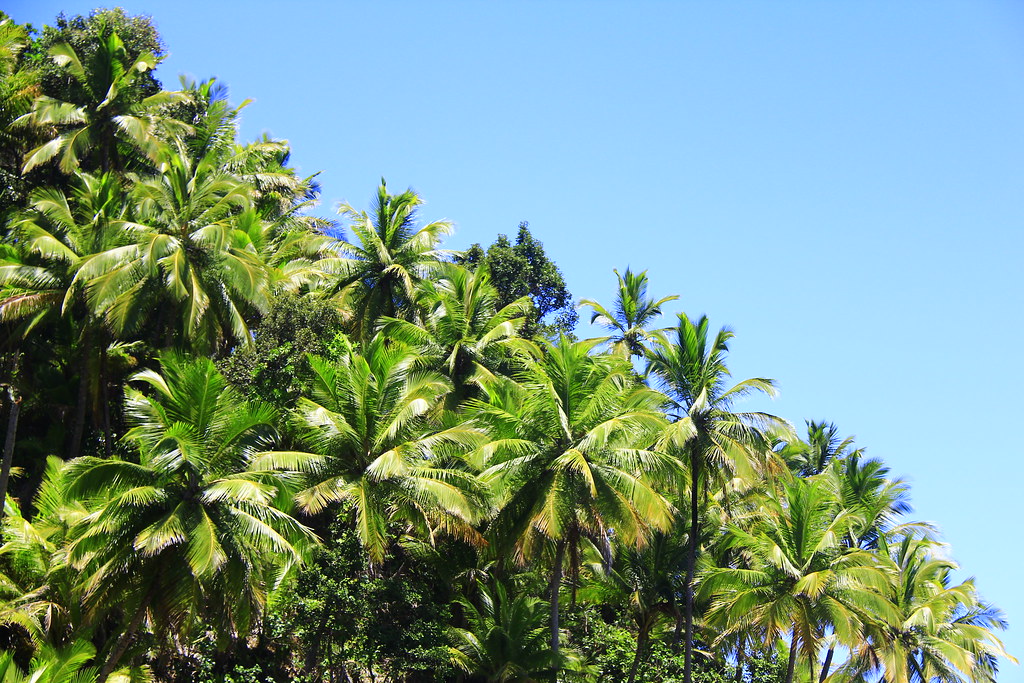 Praia do Havaizinho, em Itacaré