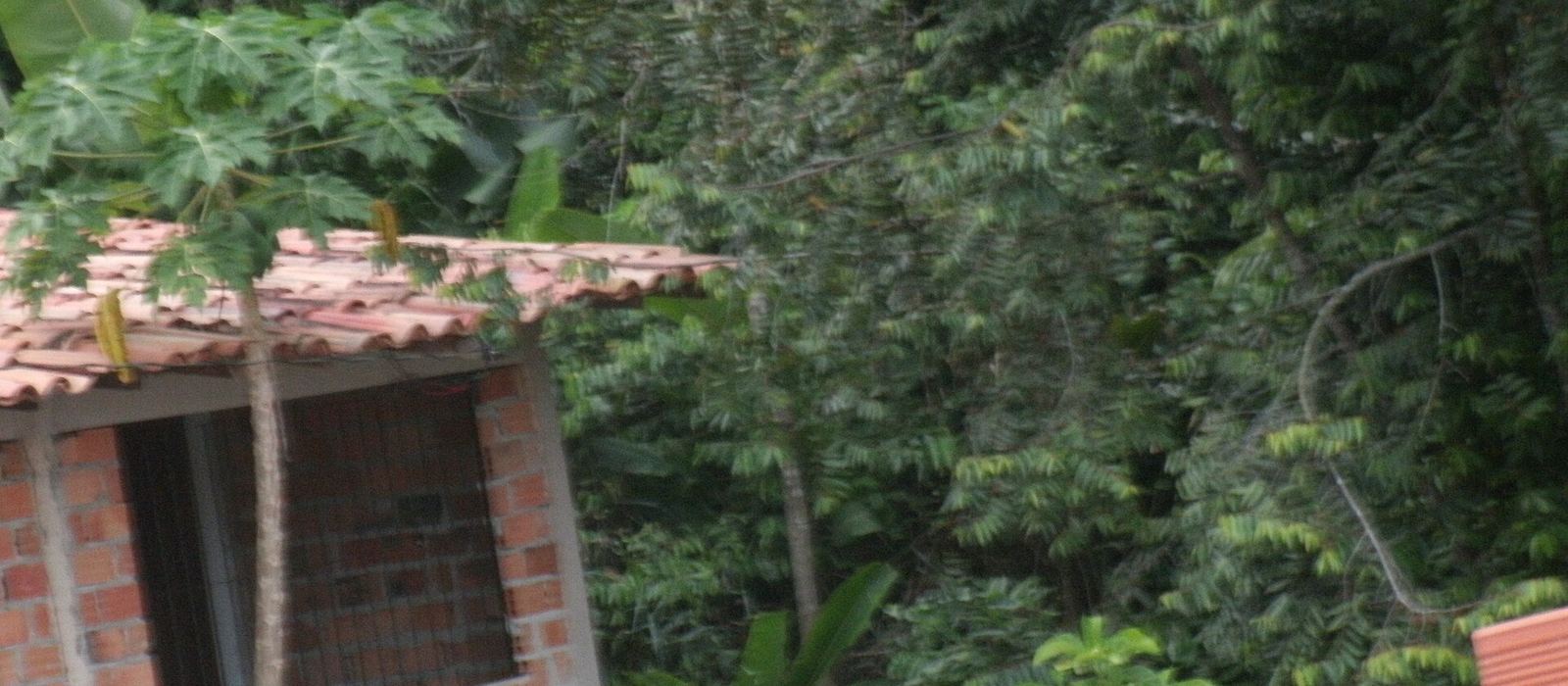 Paisagem de Barcarena