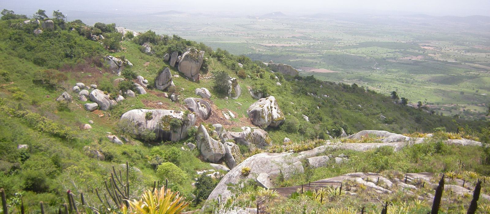 Paisagem de Bezerros