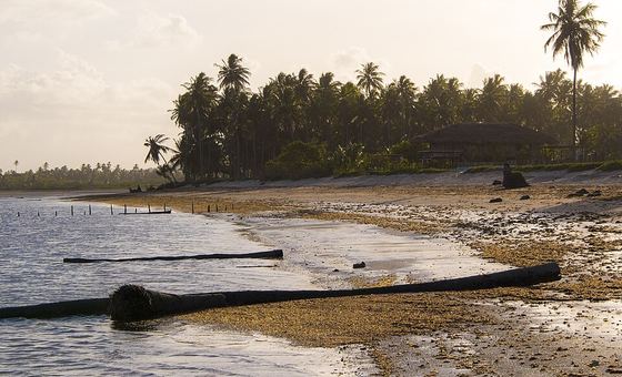 Praia de Tatuamunha, em Porto de Pedras