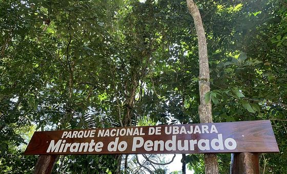 Mirante do Parque Nacional de Ubajara, em Ubajara