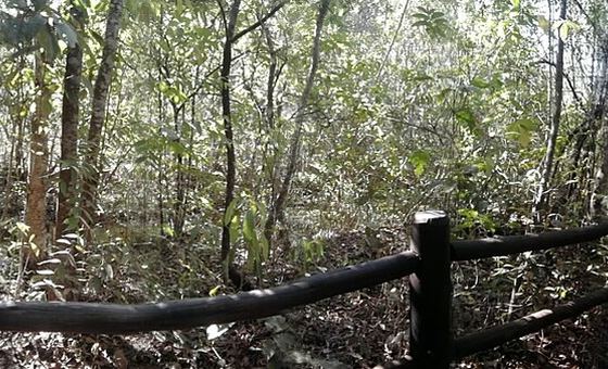 Trilha da Capivara, em Guará