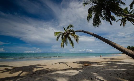Praia dos Carneiros, em Tamandaré