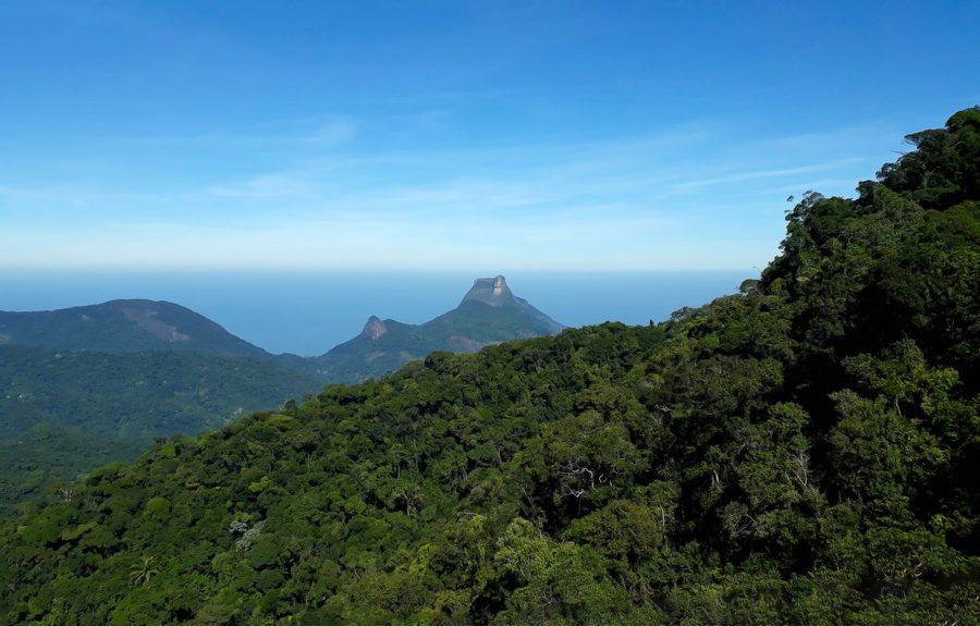 Pico da Tijuca