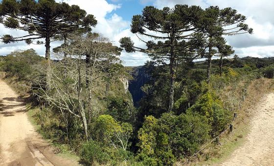 Mirante do Vértice, em Cambará do Sul