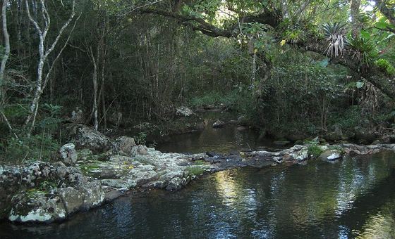 Monumento Natural Municipal da Lagoa do Peri