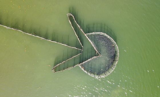 Ilha do Cardoso, em Cananéia