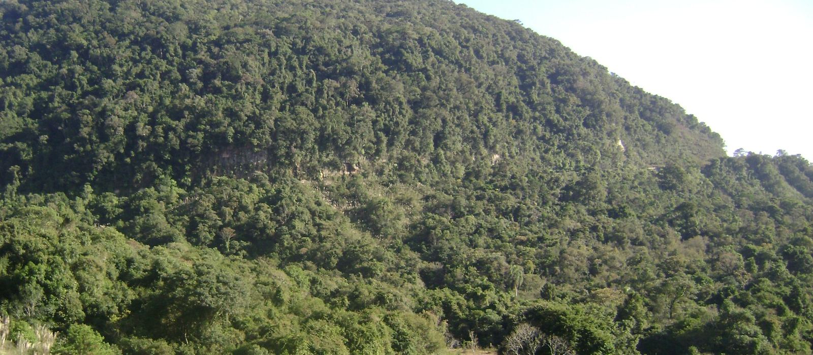 Paisagem de Prudentópolis