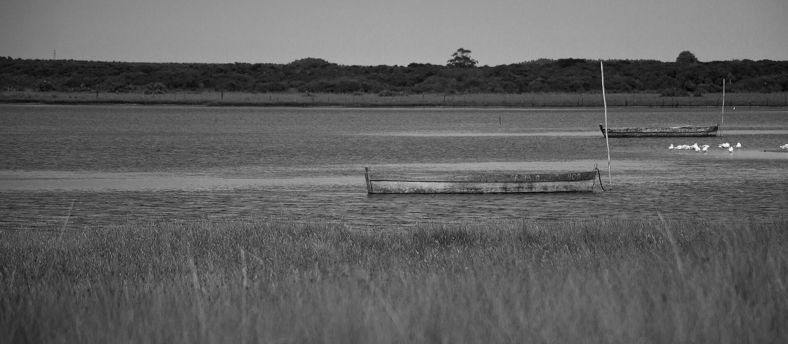 Paisagem de Tavares