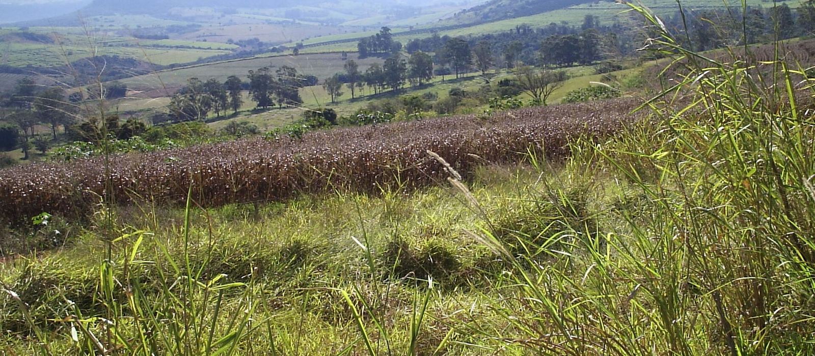 Paisagem de Analândia