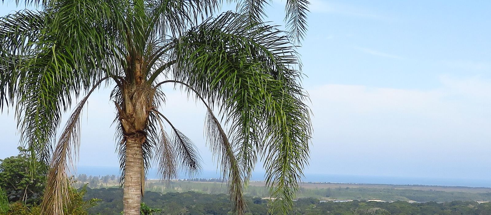 Paisagem de Iguape