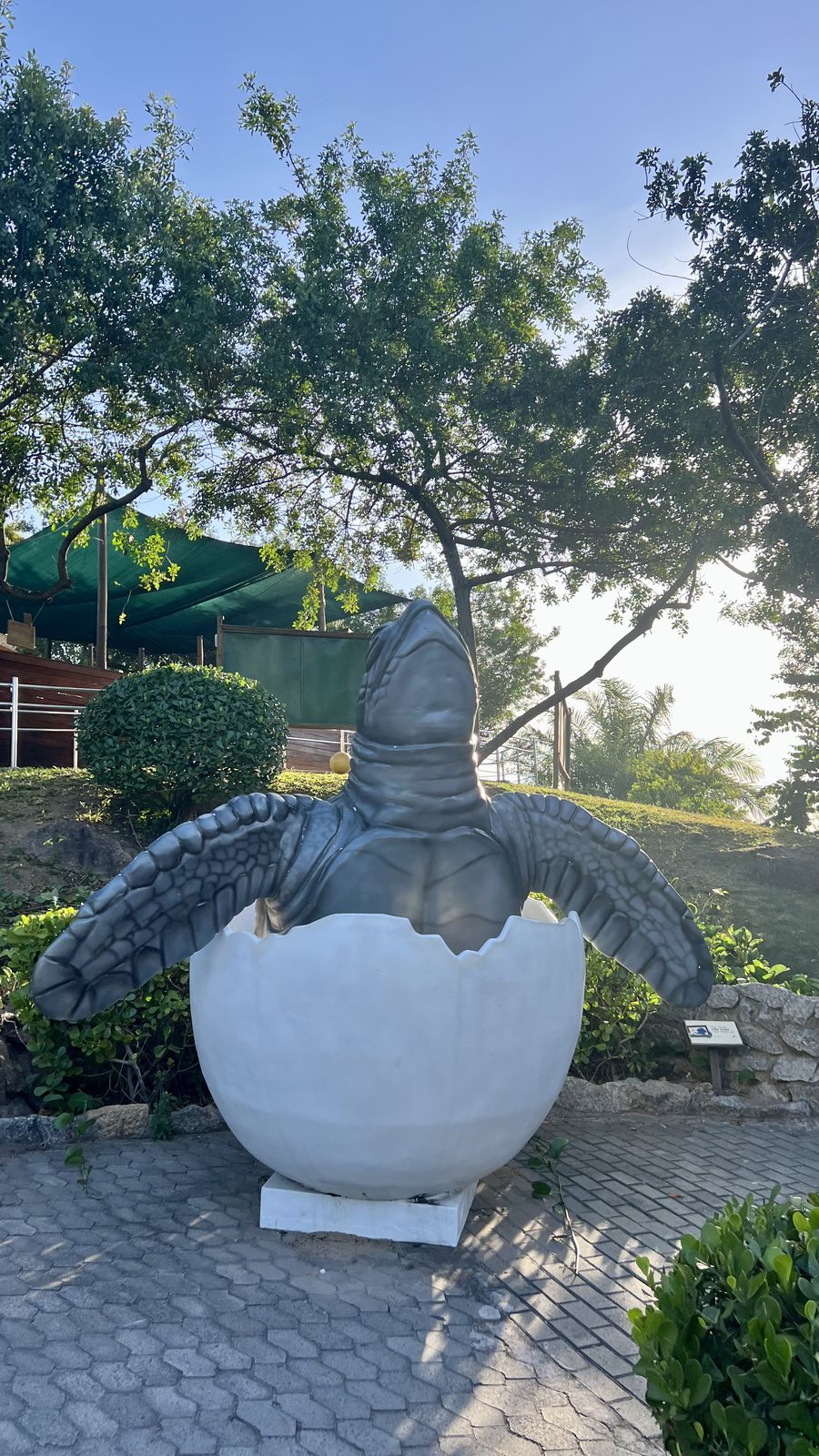 A escultura do filhote saindo do ovo, no pátio