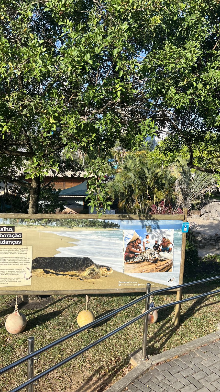 Painel sobre captura incidental em rede de pesca